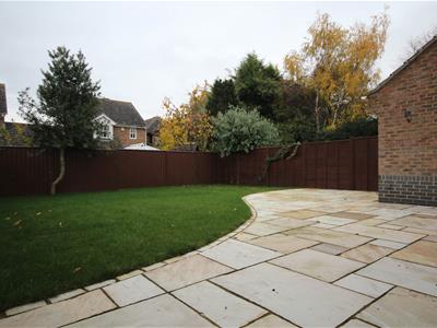 Picture 11